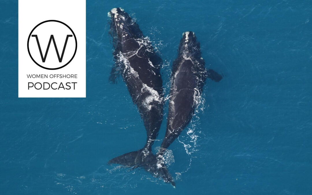 Slow Down for Right Whales, Episode 68